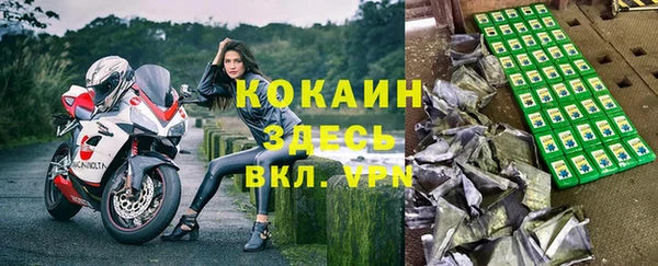 spice Богородицк