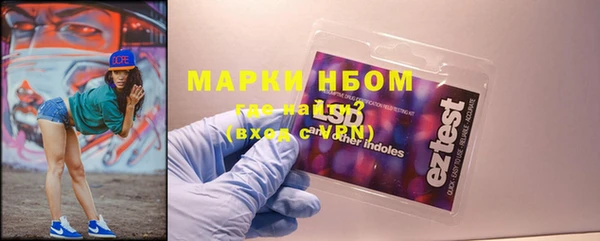 spice Богородицк