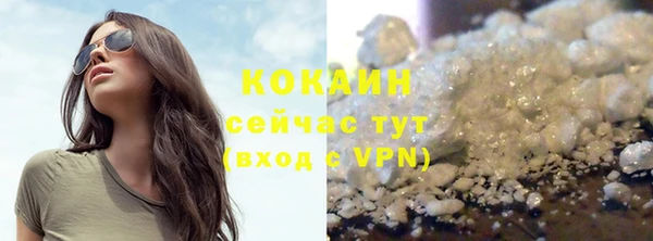 первитин Богданович
