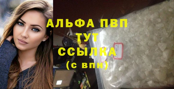 spice Богородицк