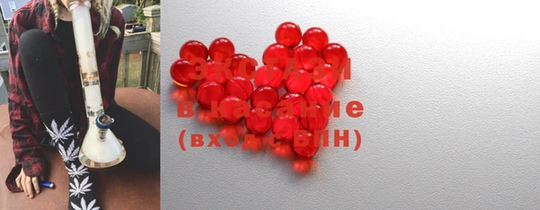 spice Богородицк