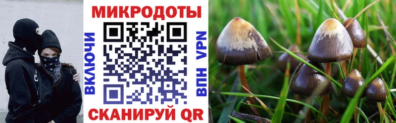 Псилоцибиновые грибы Magic Shrooms  Белорецк 